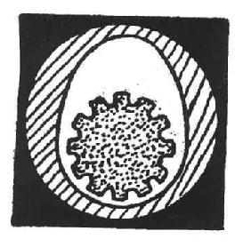 M0535223