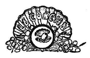 LA CONCHA