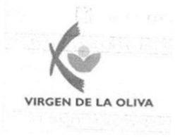 VIRGEN DE LA OLIVA