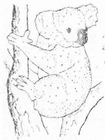 M0691055