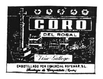 CORO DEL ROSAL