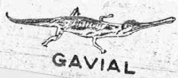 GAVIAL