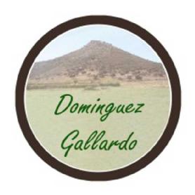 DOMINGUEZ GALLARDO