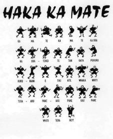 HAKA KA MATE