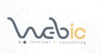 WEBIC INTERNET & CONSULTING