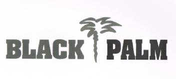 BLACK PALM