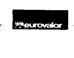 EUROVALOR2