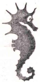 M0723958