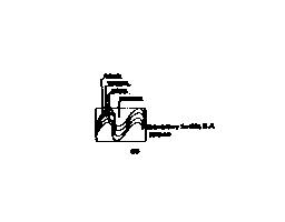 TELEVISION Y SONIDO, S.A. TELSON