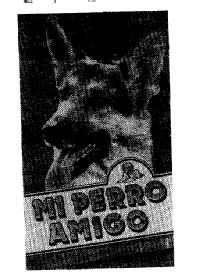 MI PERRO AMIGO