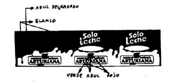 SOLO LECHE CENTRAL LECHERA ASTURIANA