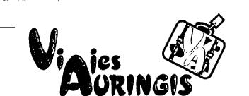 VIAJES AURINGIS
