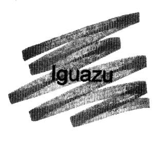 IGUAZU