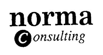 NORMA CONSULTING