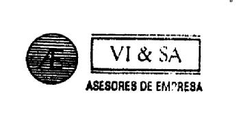 AE VI & SA ASESORES DE EMPRESA