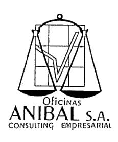 OFICINAS ANIBAL, S.A. CONSULTING EMPRESARIAL