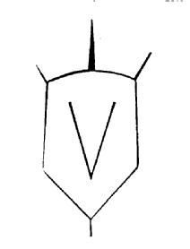 V