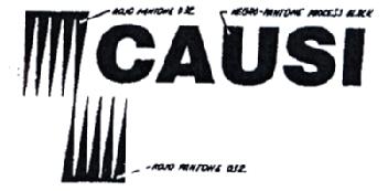 CAUSI