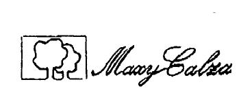 MAXYCALZA