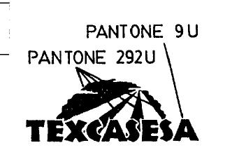 TEXCASESA