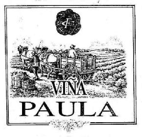 FC VIÑA PAULA