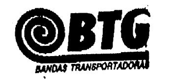 BTG BANDAS TRANSPORTADORAS