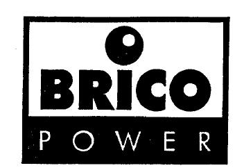 BRICO POWER