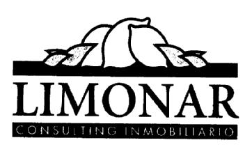 LIMONAR CONSULTING INMOBILIARIO