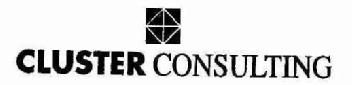 CLUSTER CONSULTING