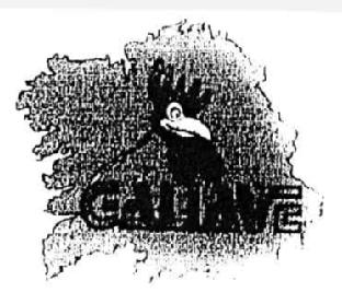 GALIAVE