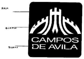 CAMPOS DE AVILA