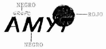 GRUPO AMYT