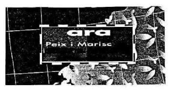 ARA PEIX I MARISC