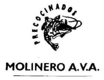 PRECOCINADOS MOLINERO A.V.A
