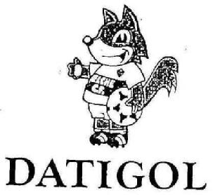DATIGOL ELCHE C.F