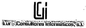 LCI LUR - CONSULTORES INFORMATICOS, S.L