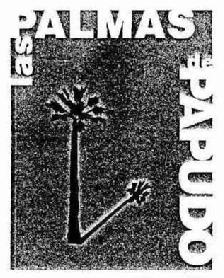 LAS PALMAS DE PAPUDO