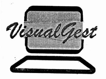 VISUALGEST