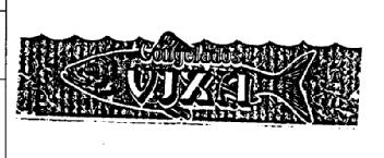 CONGELADOS VIXA