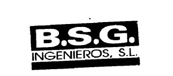 B.S.G. INGENIEROS, S.L