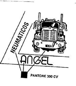 NEUMATICOS ANGEL