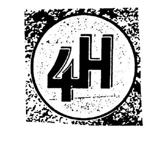 4H