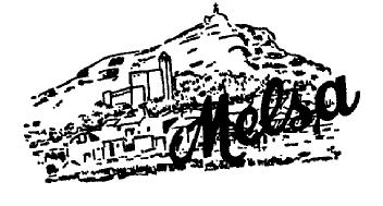MELSA