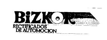 BIZKOR RECTIFICADOS DE AUTOMOCION
