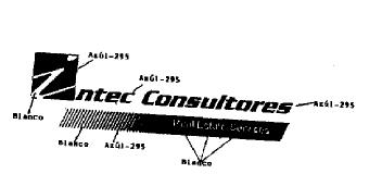 INTEC CONSULTORES REAL ESTATE SERVICES