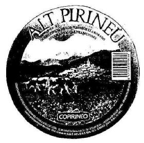 ALT PIRINEU COPIRINEO