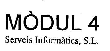 MODUL 4 SERVEIS INFORMATICS, S.L