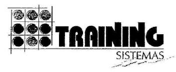 TRAINING SISTEMAS