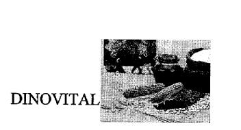 DINOVITAL