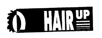 HAIR UP